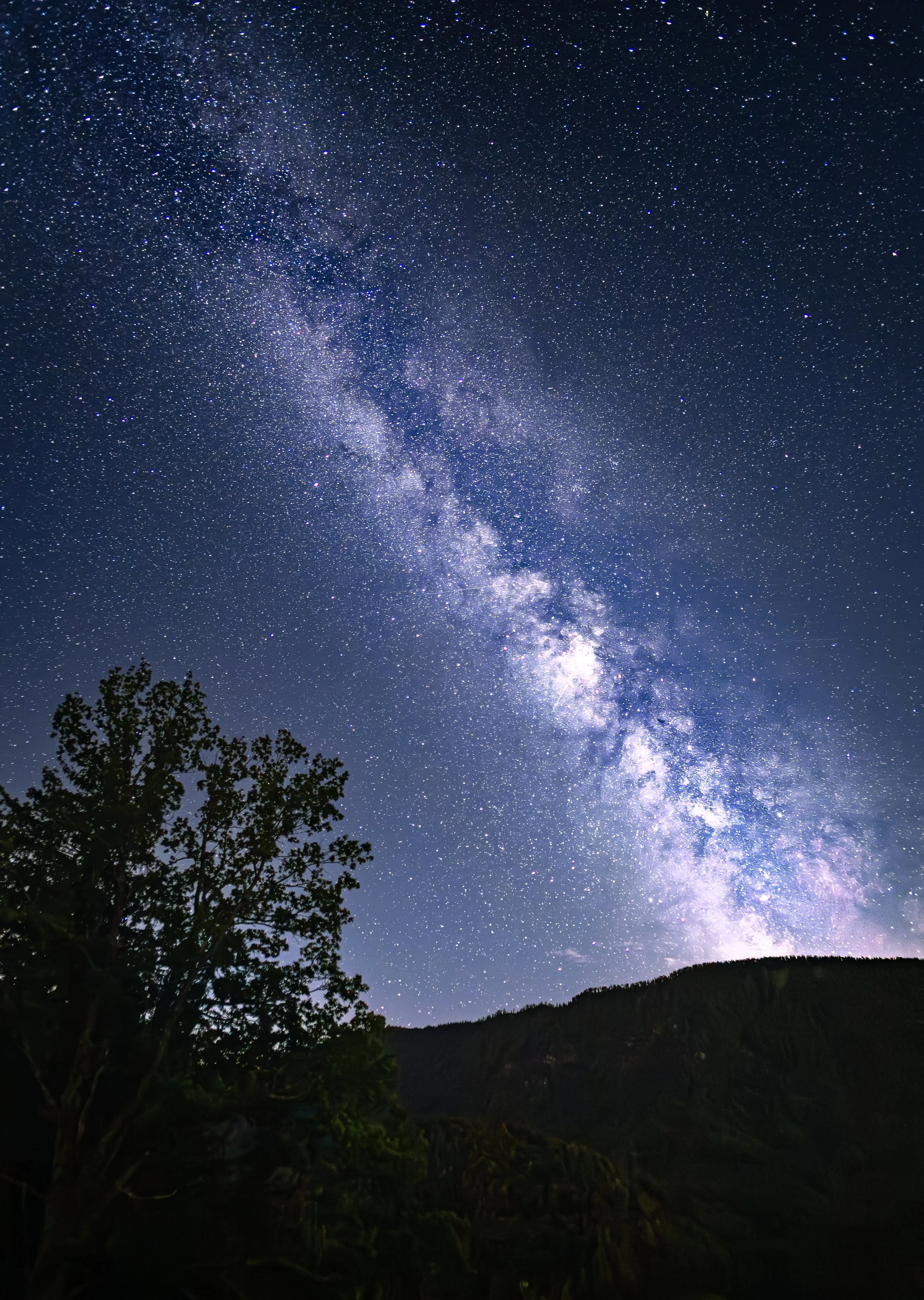 Sternenhimmel mit Milchstraße über einer Landschaft mit Bäumen und Hügeln bei Nacht.