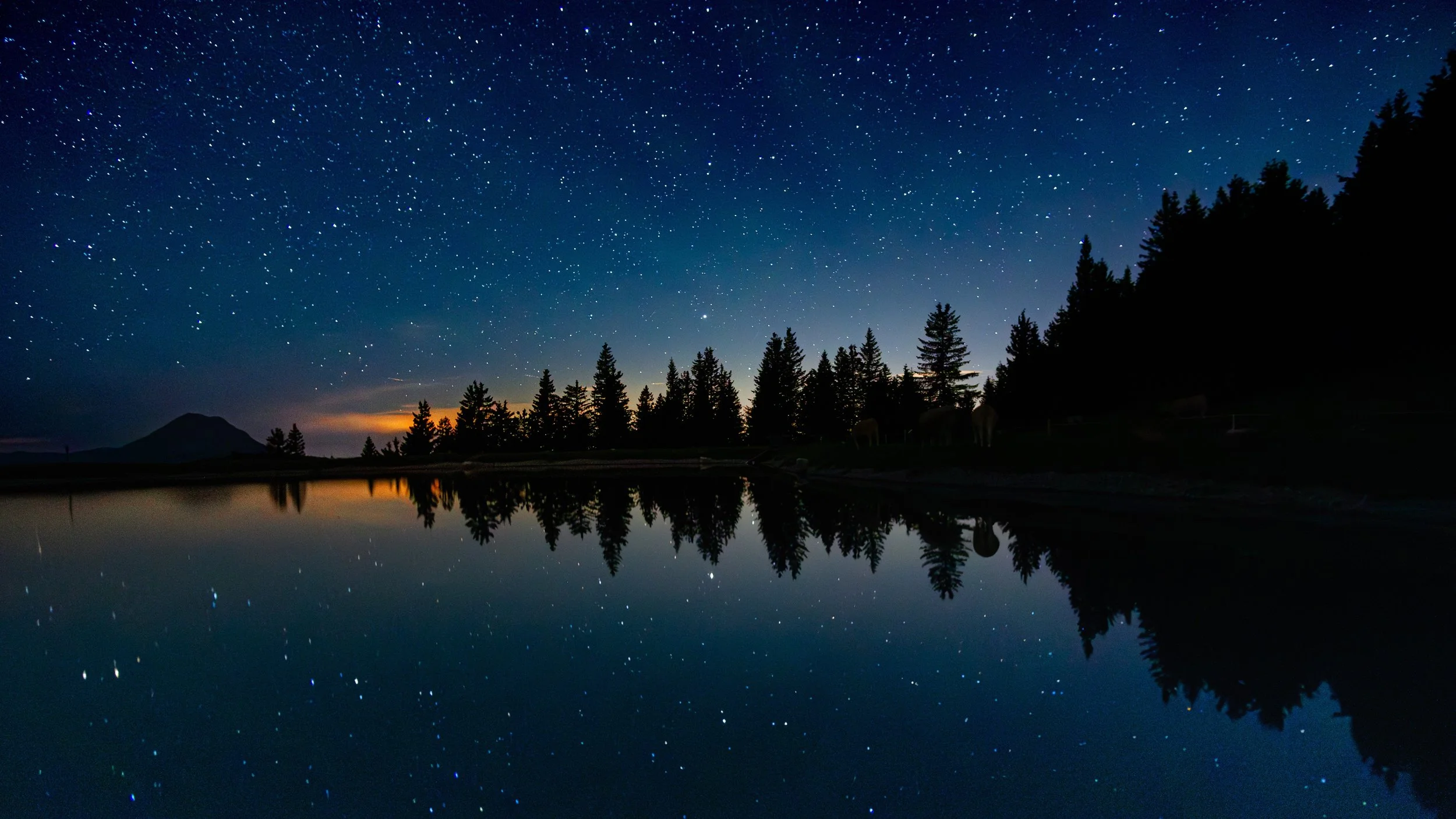 Sternenübersäter Nachthimmel über einem See mit Baumsilhouette und Berg im Hintergrund, Spiegelung der Sterne im Wasser.