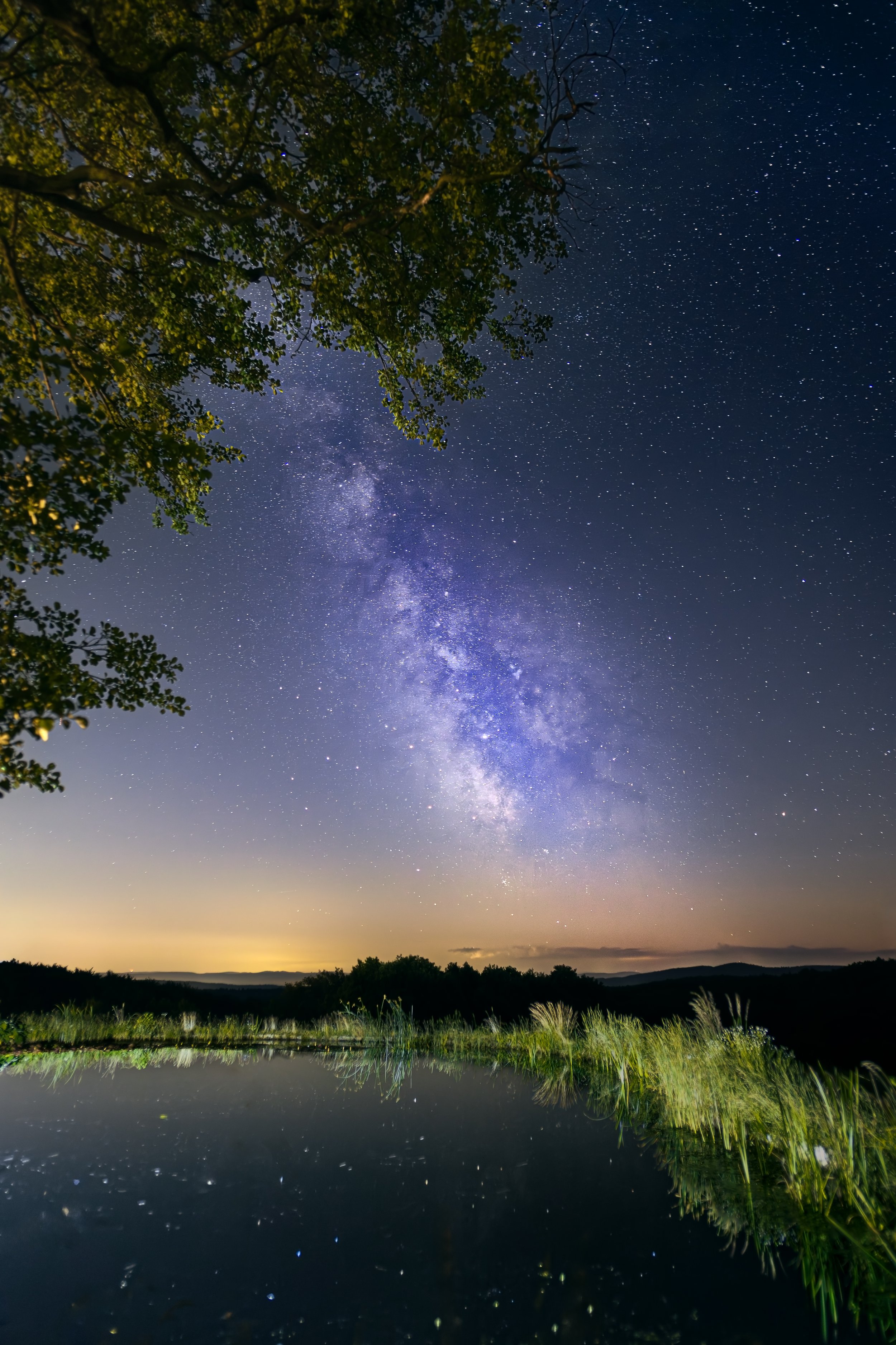 Sternenklarer Himmel mit Galaxie über einem See, umgeben von Bäumen und Gras.