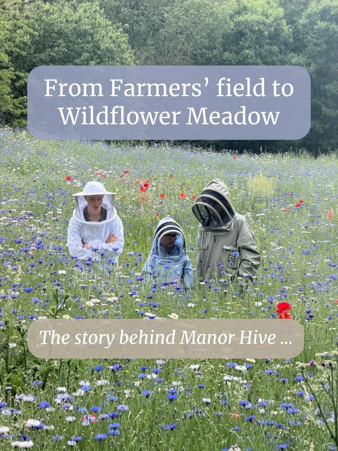 Before the wildflowers, before the bees, before Manor Hive&hellip;

There was simply a field.

Swipe through to see how a family project and a vision for nature transformed it into the beginning of something very special.

And this is only the start!