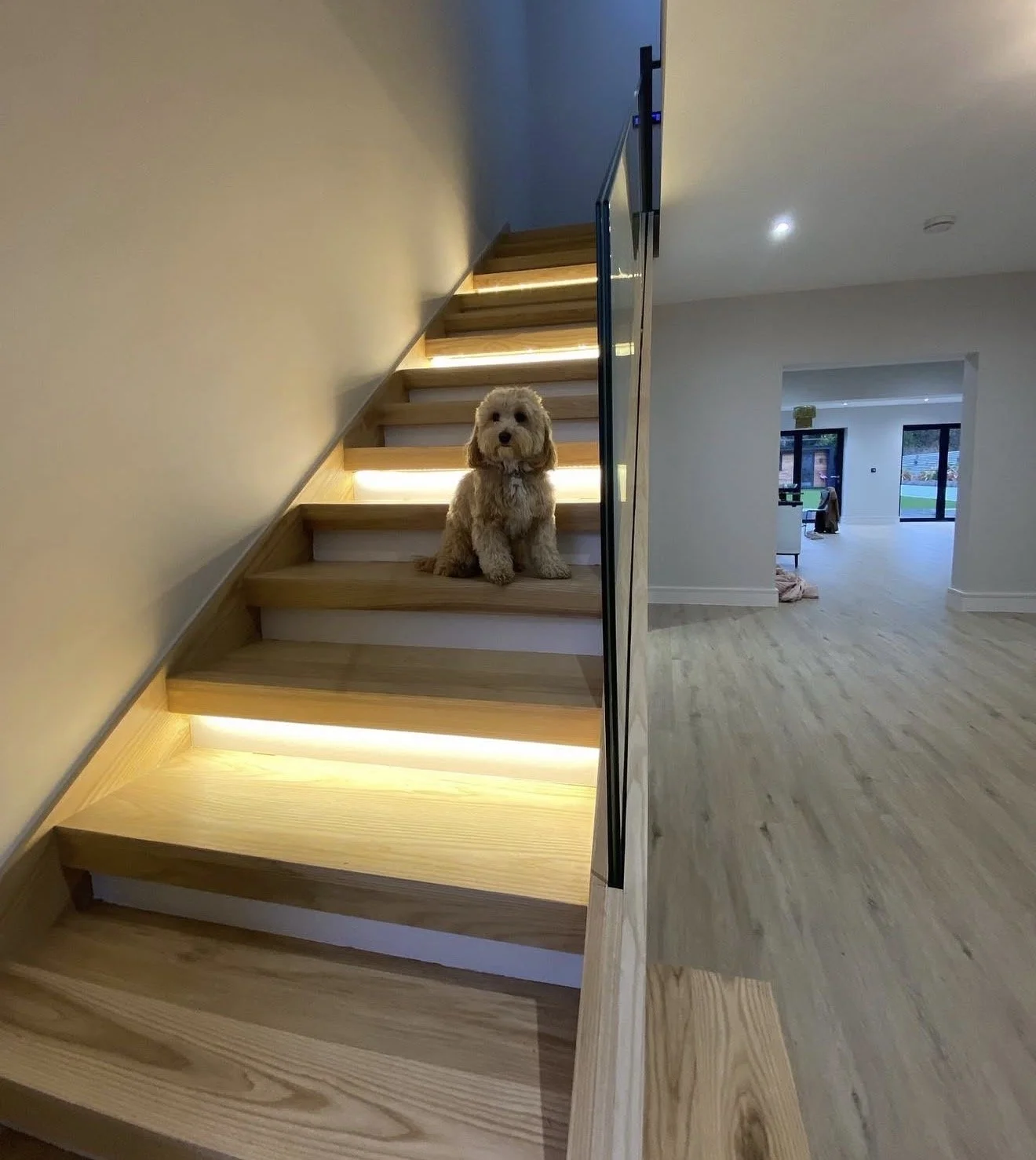 A small beige dog sits on wooden stairs with built-in lighting. The stairs are next to a wall, and a glass railing runs along the side. The background shows an open living space with light hardwood floors and large windows.