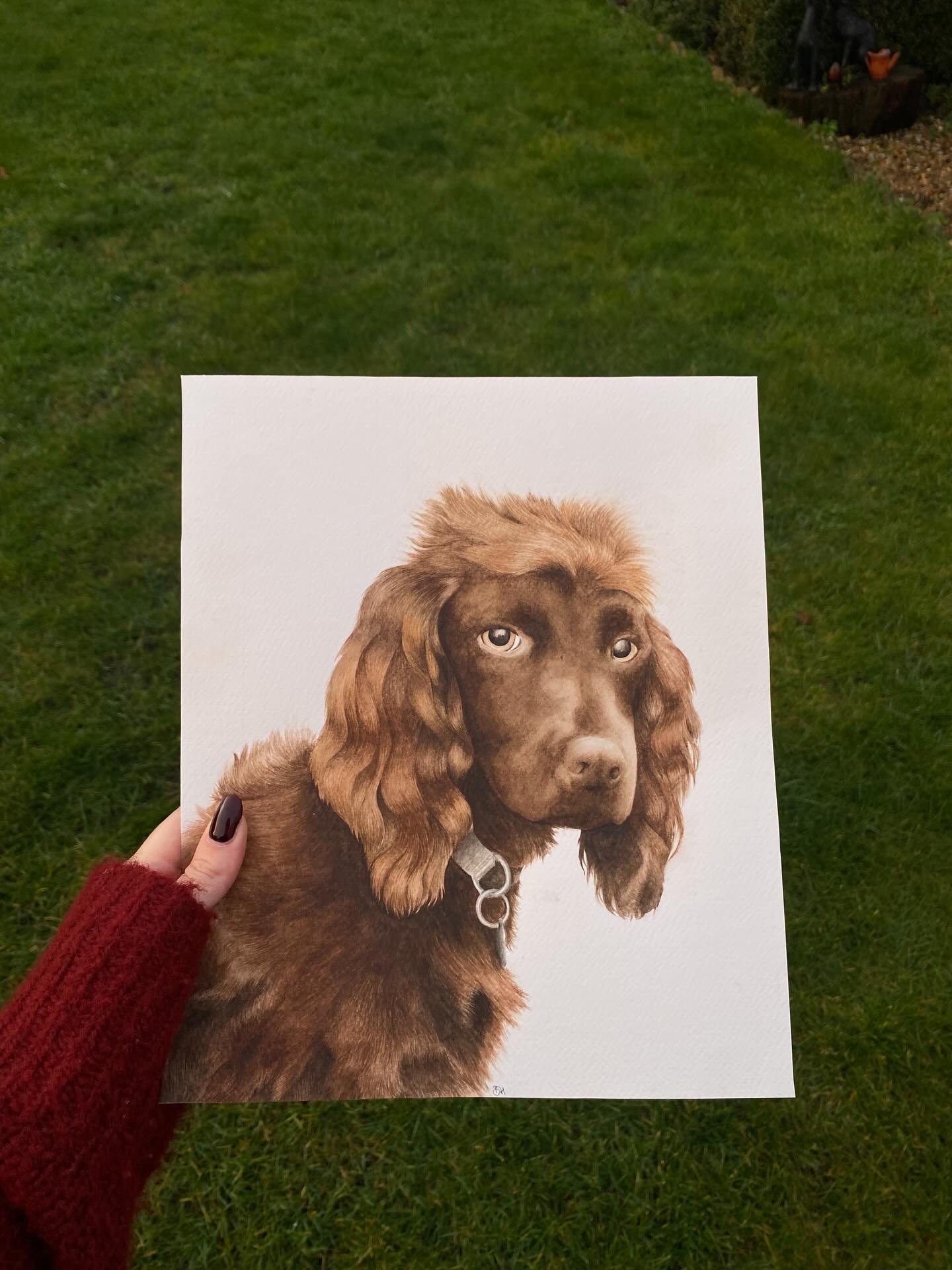 I have had the exciting honour over the past few weeks of painting Penny. Painting her wild and gorgeous fur was definitely a challenge but I couldn&rsquo;t be prouder of her outcome and as her owners have said &lsquo;it feels as though she is talkin