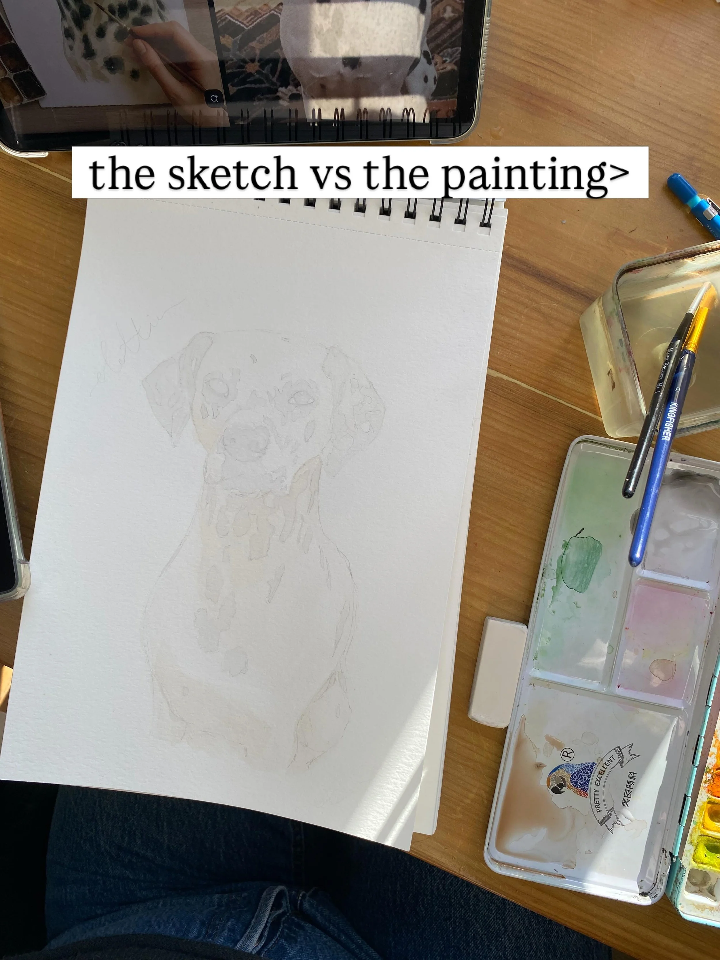 All of the beautiful dogs I have painted this year!(And Dottie from the end of last year!) It&rsquo;s always so interesting to look at the difference between where I start and the final product, just as much as it is to see the difference between eac