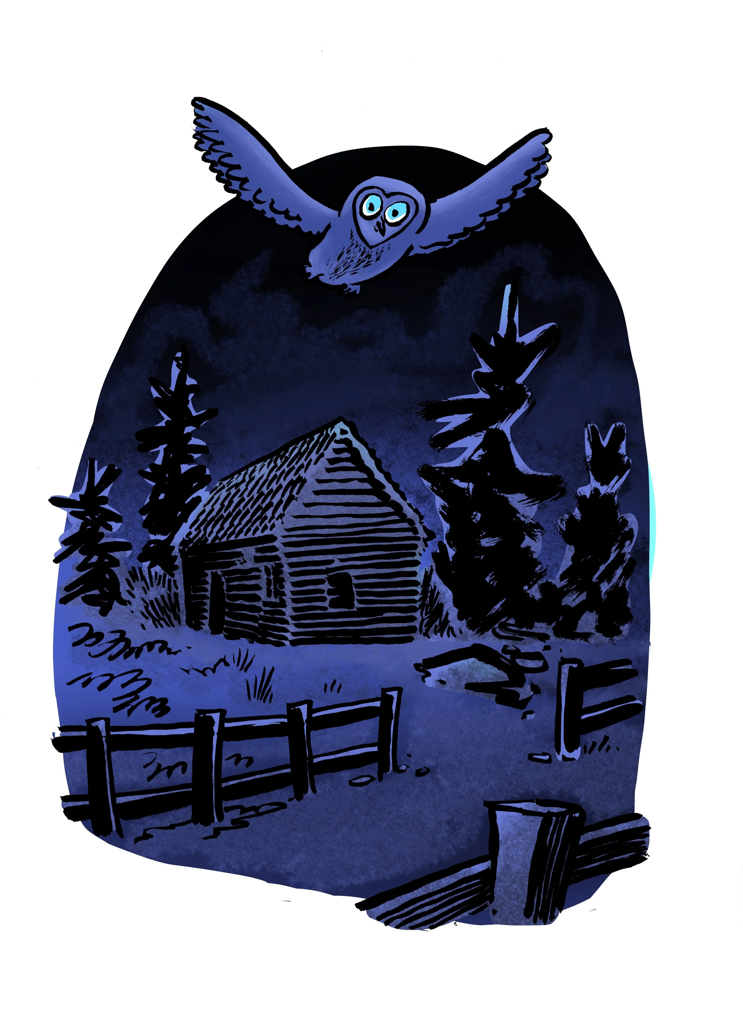 barnowl.jpg