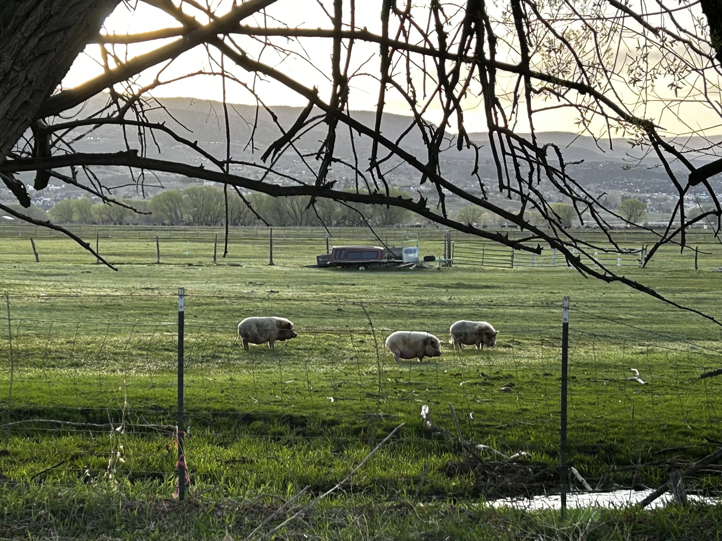 Outdoor wedding ceremony at private venue in Heber Valley Utah