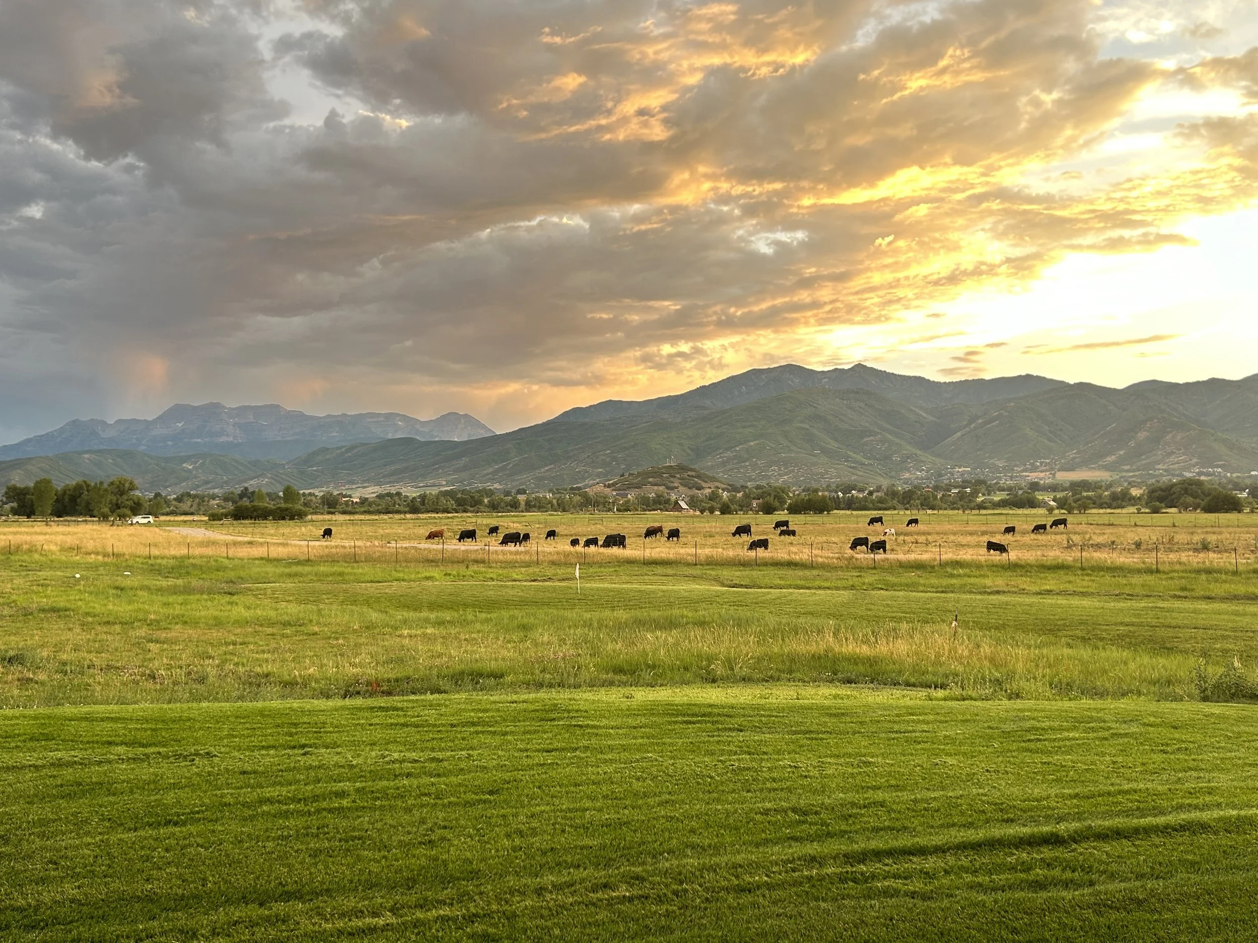 Outdoor wedding ceremony at private venue in Heber Valley Utah