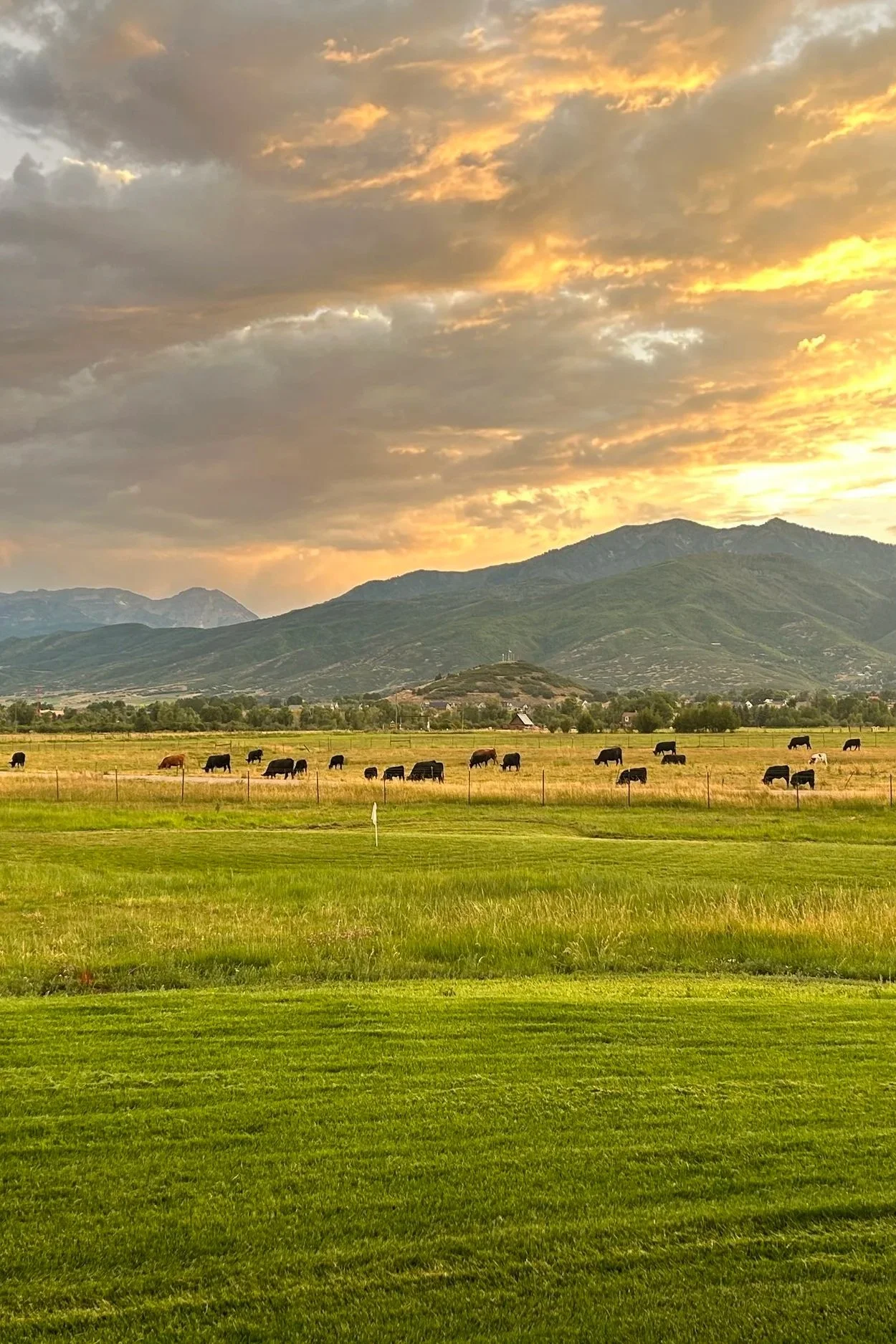Outdoor wedding ceremony at private venue in Heber Valley Utah