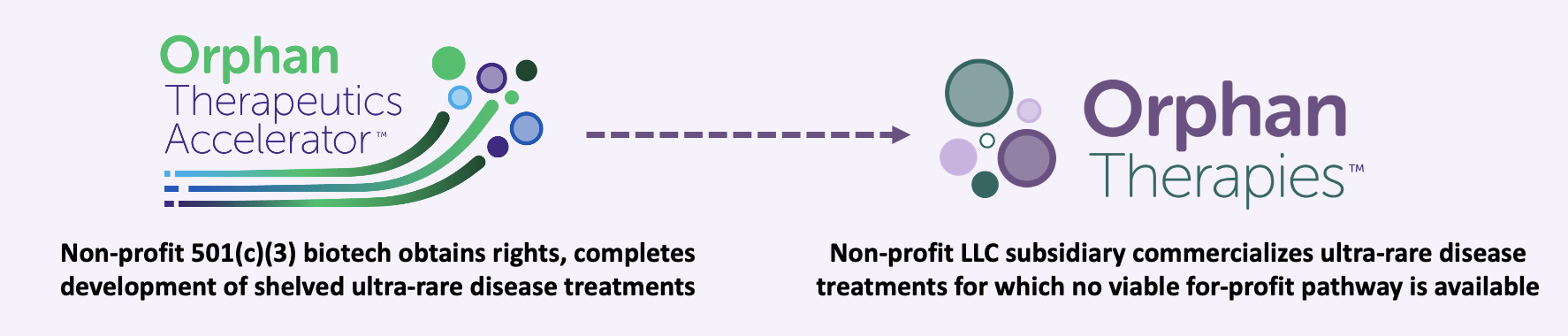 Diagram showing transition from a nonprofit biotech company, Orphan Therapeutics Accelerator, to a subsidiary, Orphan Therapies. Text explains the transition from developing ultra-rare disease treatments to moving to a marketing arm.