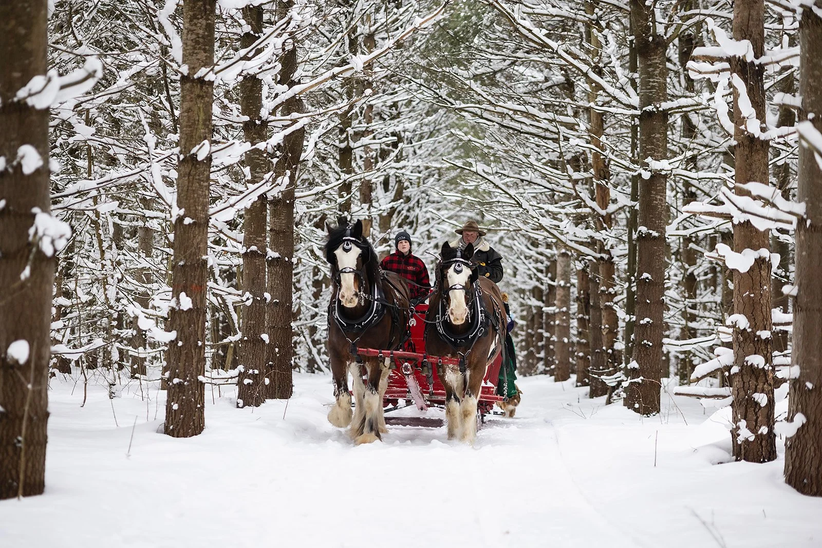 Partner Member | Valley Ridge Family Farm
