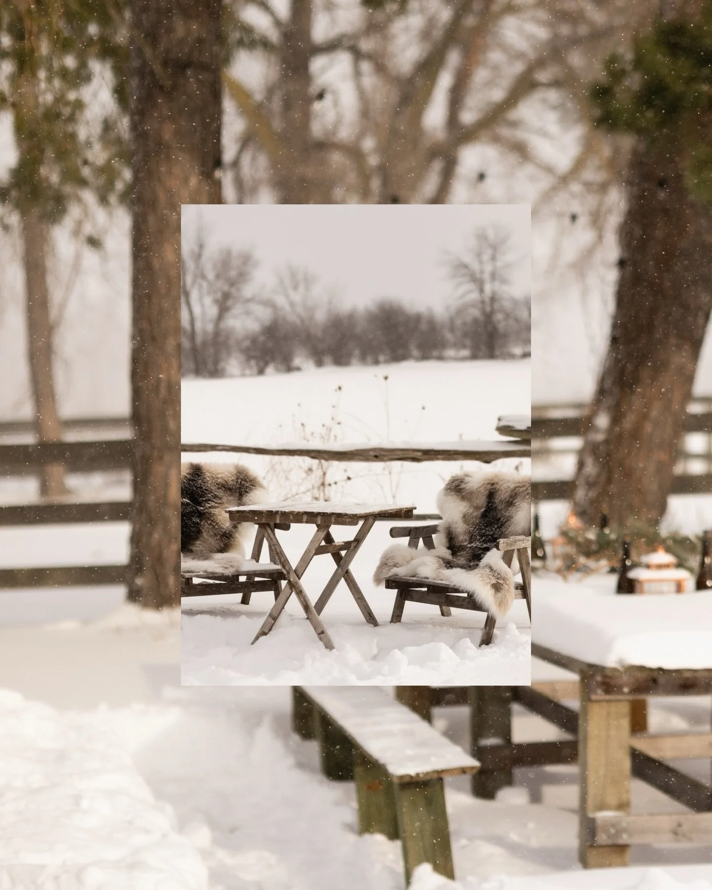 Setting the scene. 

Keeping it simple and making it allll about the food and human connection.