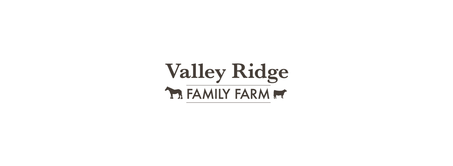 Logo of Valley Ridge Family Farm featuring a distressed style font, two cow icons, and a horizontal line with the farm's name.