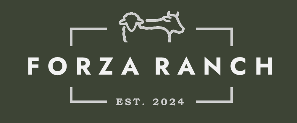 Forza Ranch