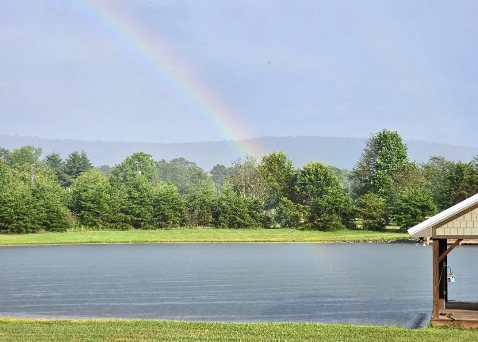 Pond View