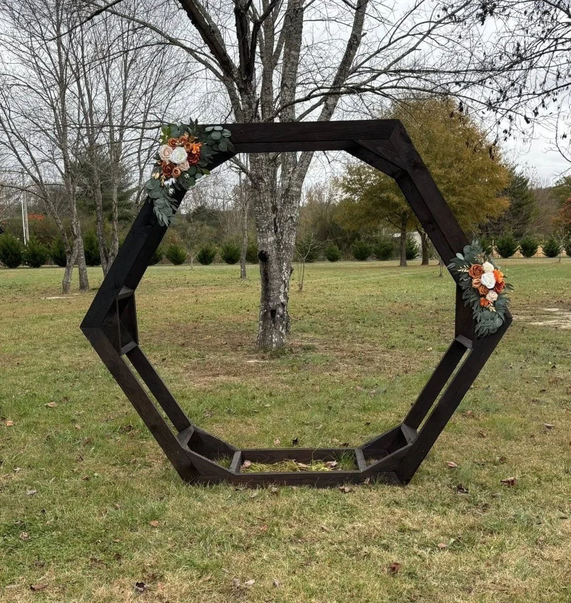 Hexagon Arbor Option