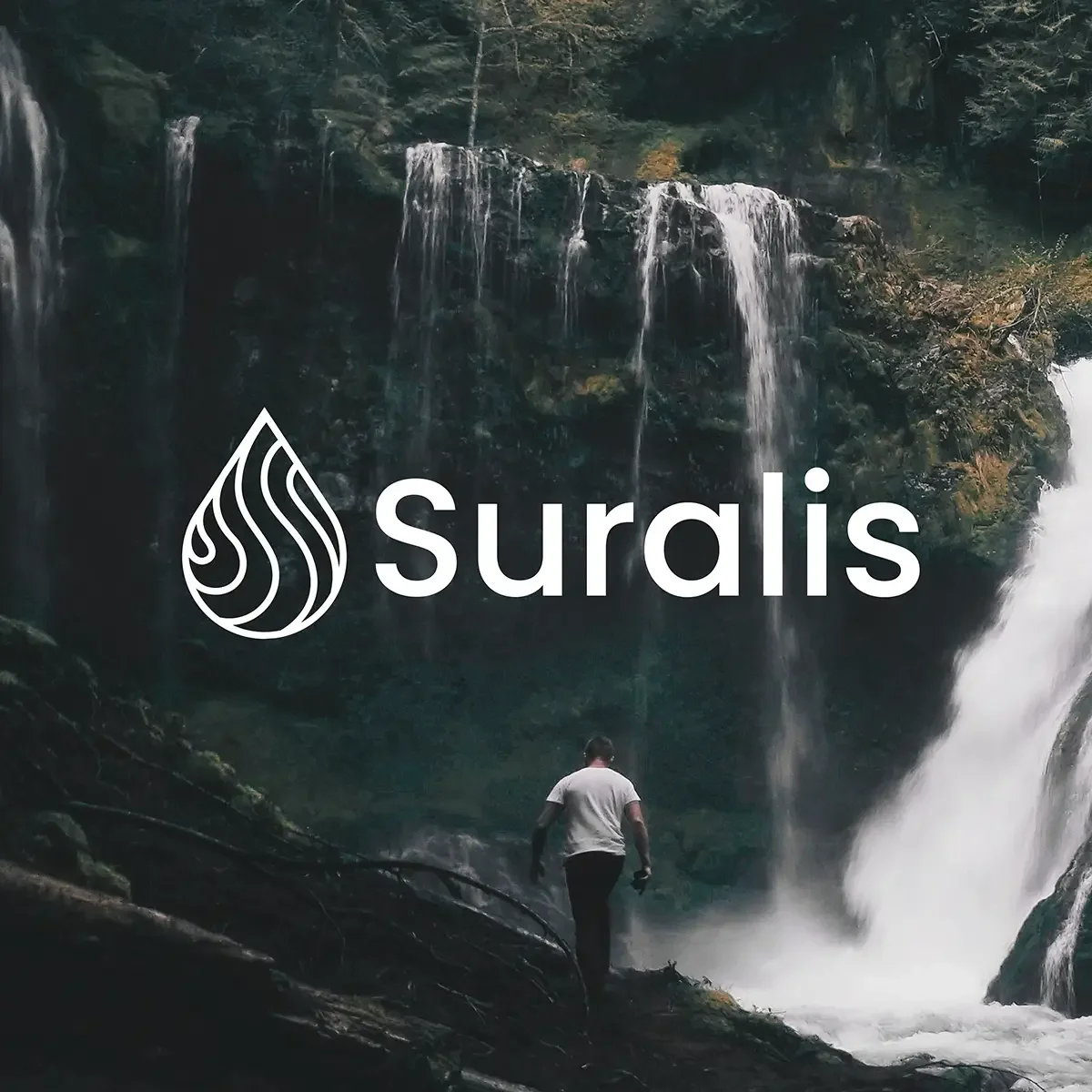 Suralis | Una nueva marca para una empresa que renace desde el interior