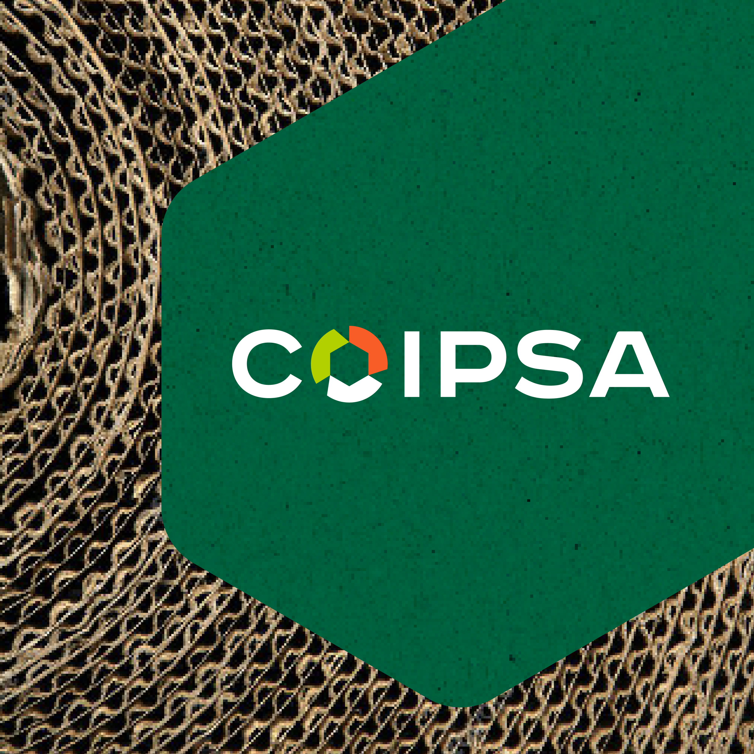 Coipsa | Propósito, identidad y arquitectura de marca para impulsar una propuesta de valor integrada