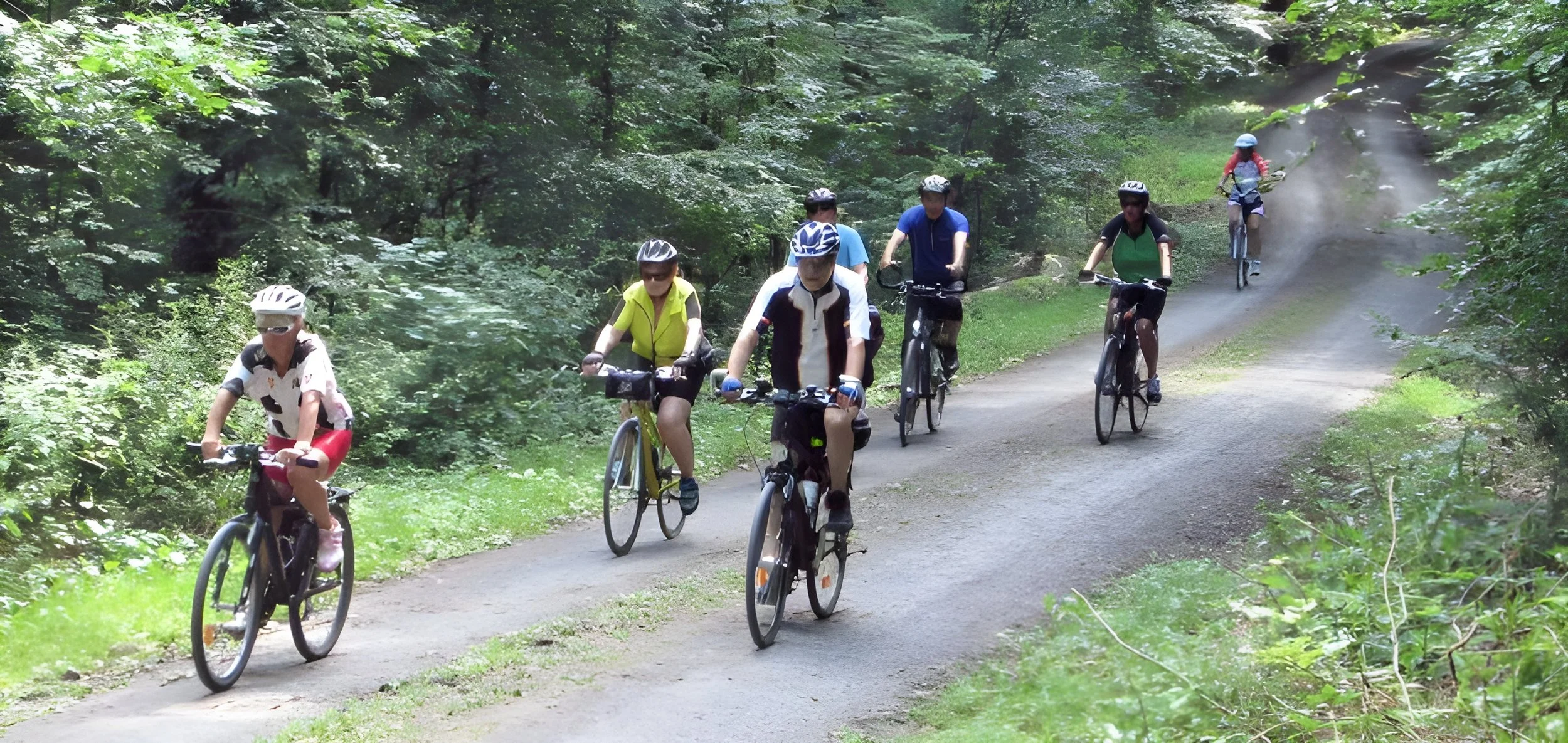 Mehrere Radfahrer, darunter Kinder und Erwachsene, fahren auf einem schmalen Waldweg durch einen grünen Wald. Sie tragen Helme und sportliche Kleidung.