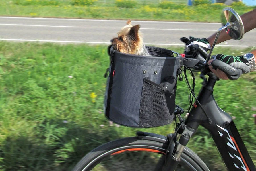 Ein Fahrrad mit einem schwarzen Korb, in dem ein Hund mit braunem Fell und weißen Markierungen sitzt, während es auf einer Landstraße fährt.