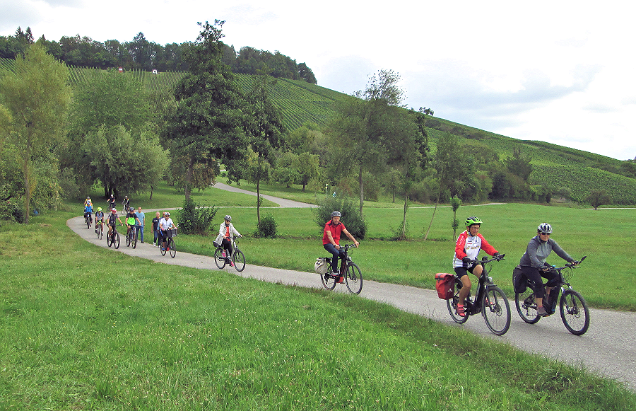 Mehrere Radfahrer fahren auf einem schmalen Weg durch eine grüne Landschaft mit Bäumen und Hügeln im Hintergrund.