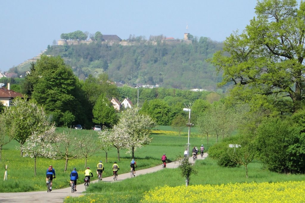 Eine Gruppe von Radfahrern fährt auf einem Weg durch eine grüne Landschaft mit Bäumen und Wiesen, im Hintergrund ist ein Hügel mit Gebäuden.