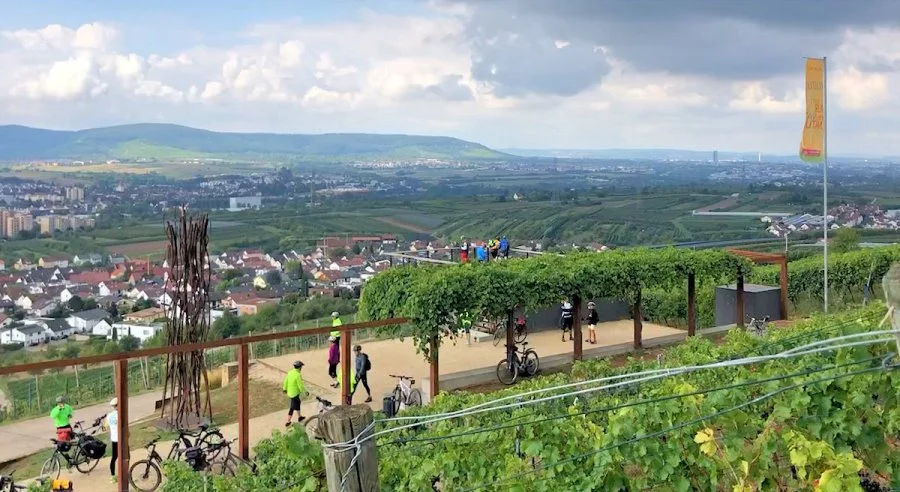 Blick über eine Weinbergsregion mit Menschen, Radfahrern und einer Hütte auf einer Anhöhe, im Hintergrund eine Stadt und Berge, bewölkter Himmel.