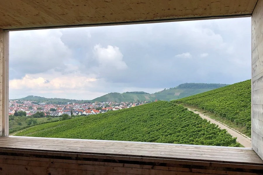 Blick auf einen Weinberg durch ein großes Fenster mit Holzrahmen, im Hintergrund eine Stadt und Hügel unter bewölktem Himmel.