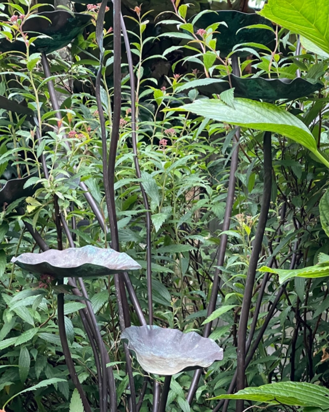 Copper forms among the foliage.

This sculptural piece collects rainwater, creating small pools for birds and insects. A functional detail that blends quietly into the planting, adding structure and purpose without disturbing the calm.

#GardenDesign