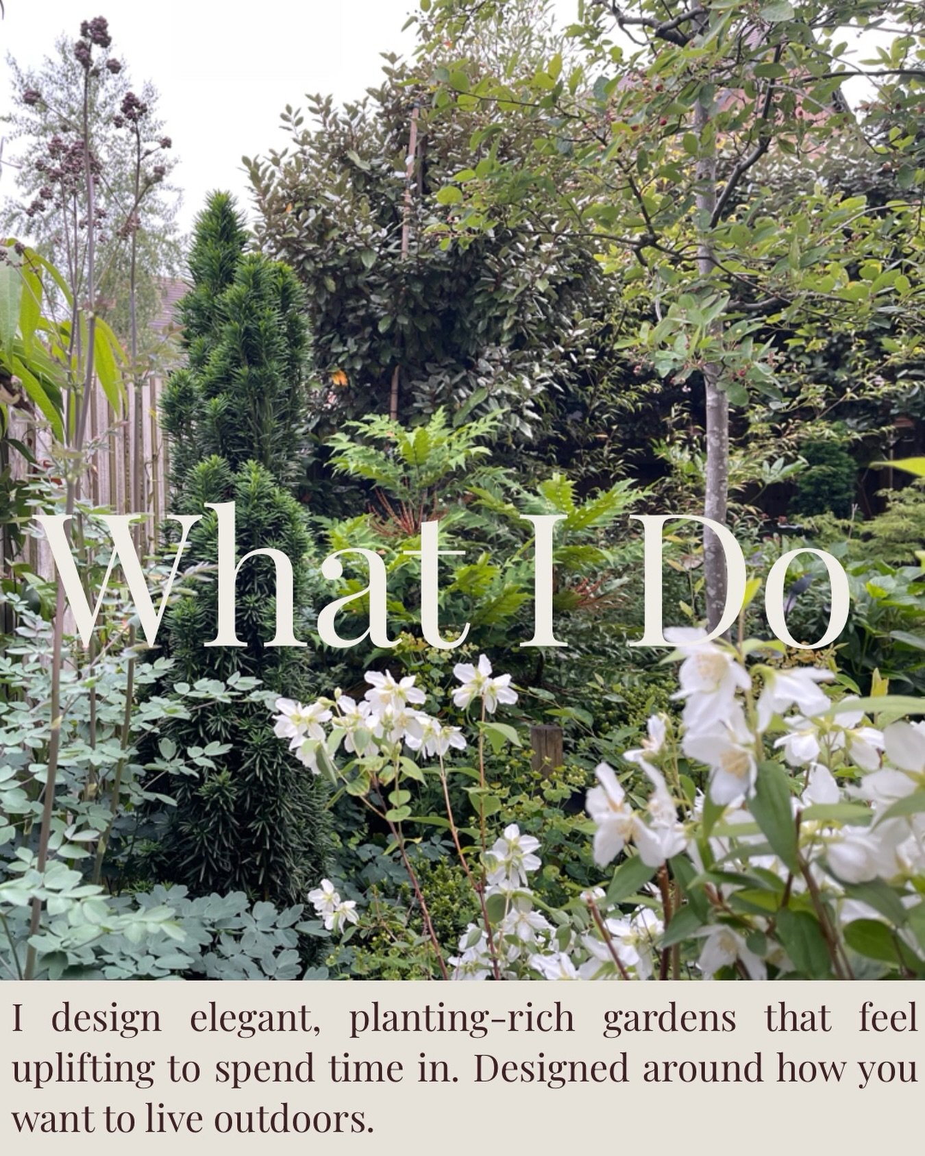 What I do

I design elegant, planting led gardens that feel calm, natural and deeply connected to how you live.

From thoughtful layouts to layered planting, every garden is shaped around how you want to use your outdoor space now and as it grows ove