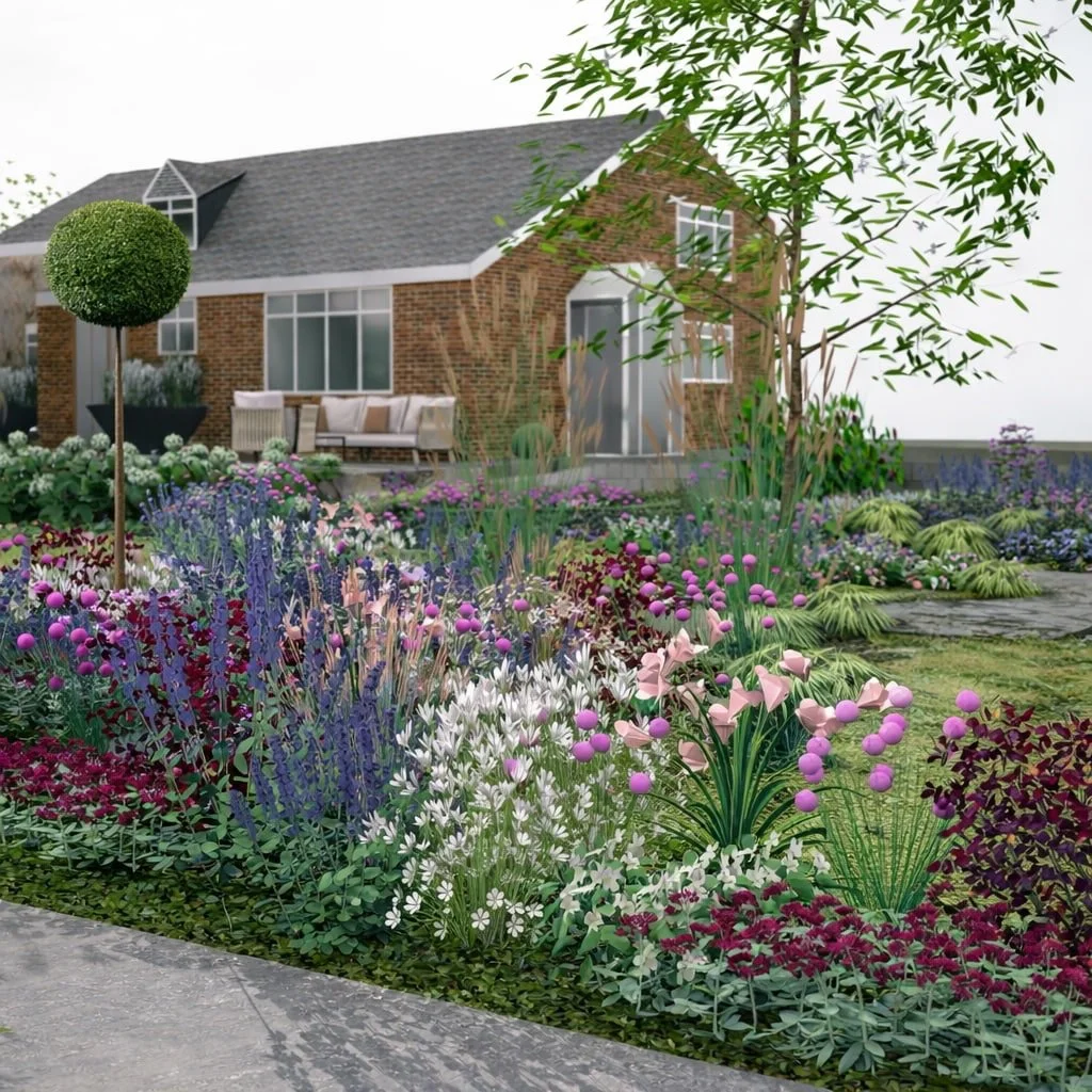 Country side large garden with curved path ways, topiary lollipop trees and cottage style planting. Pink, purple and white. House in the background.