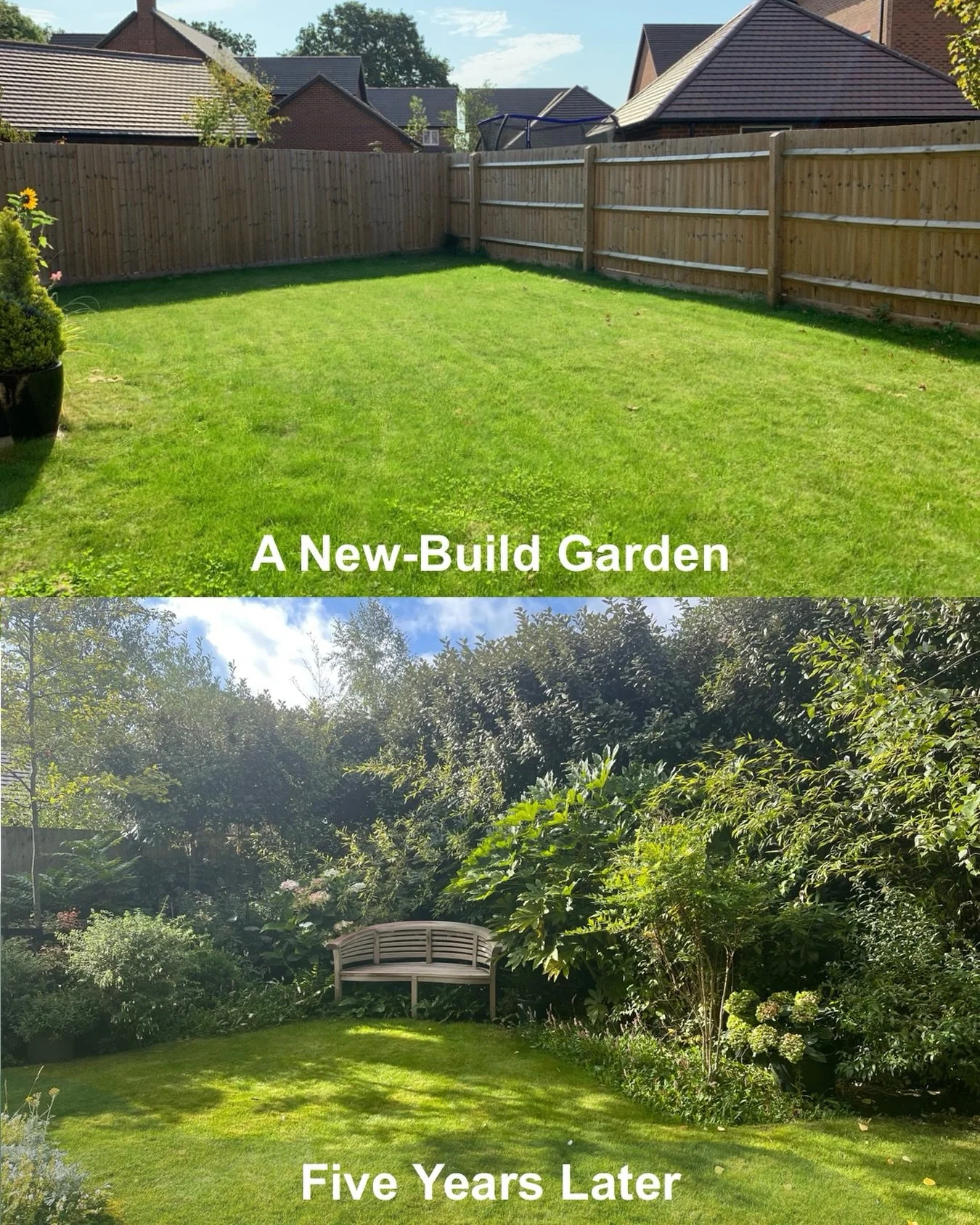 This was just lawn in 2020.

Many gardens start out like this&hellip; just a lawn and a fence.

Five years on, this garden feels completely different.

Save this if you&rsquo;re planning a garden 💚