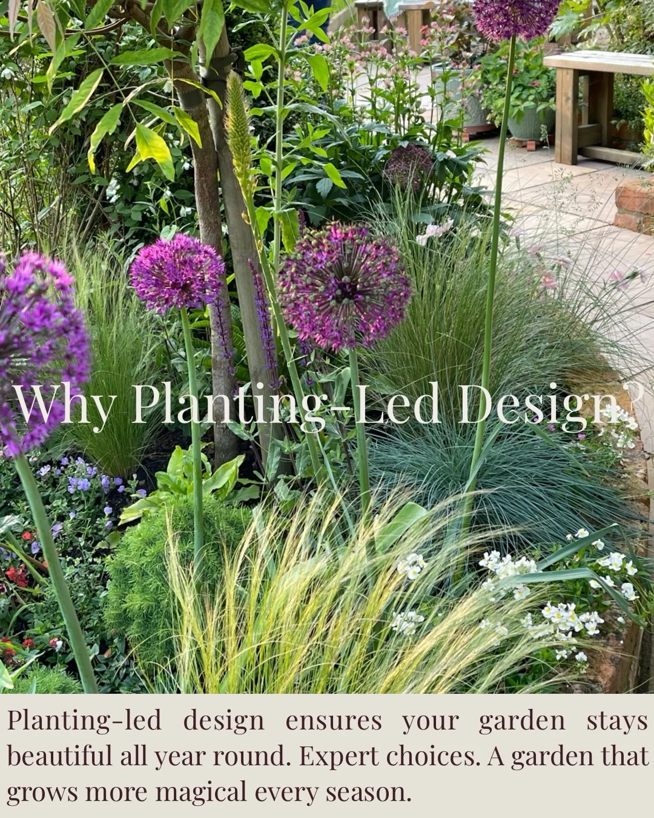 Planting is not an afterthought
It is what gives a garden depth, movement and meaning

A planting led approach ensures your garden evolves through the seasons, with layers of colour, texture and structure working together over time
Creating a space t