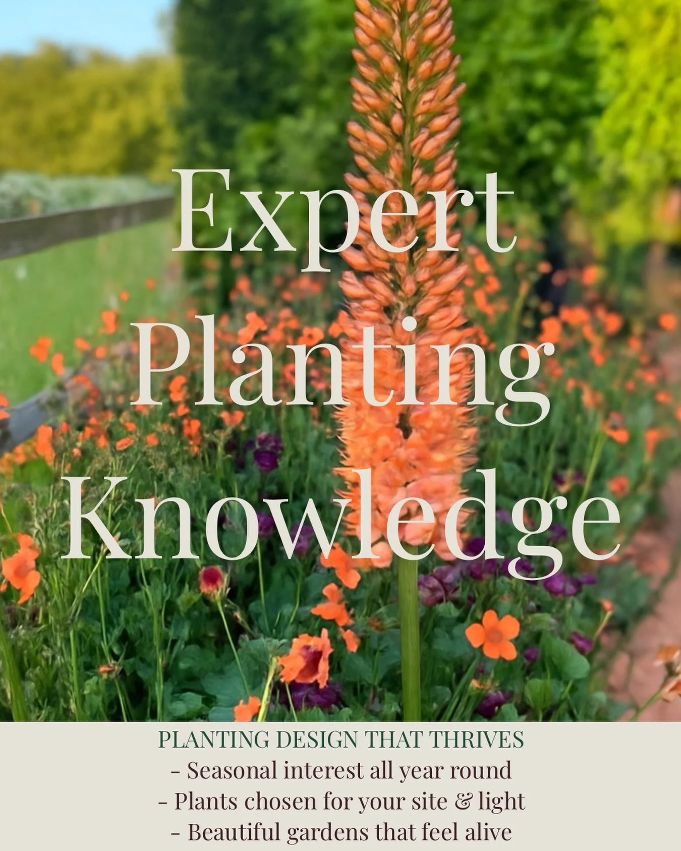 Thoughtful, considered planting design to bring all year round interest 🧡