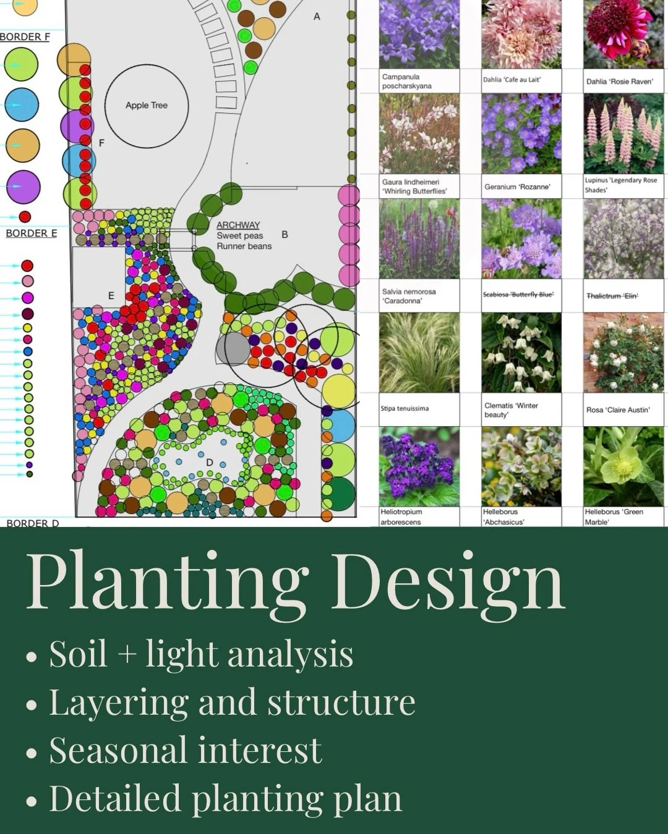 Planting design is about more than choosing plants. 🌿

It&rsquo;s about understanding structure, seasonality, soil, light, and how a garden will feel and evolve over time.