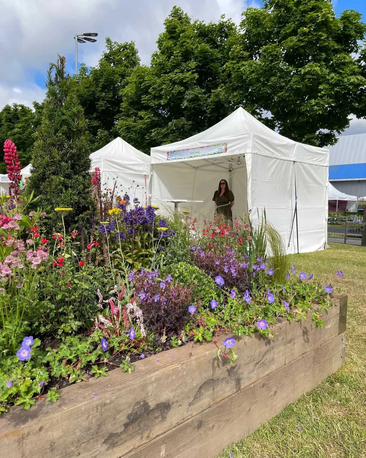 Behind the Scenes of My BBC Gardeners' World Live Gold Award Border