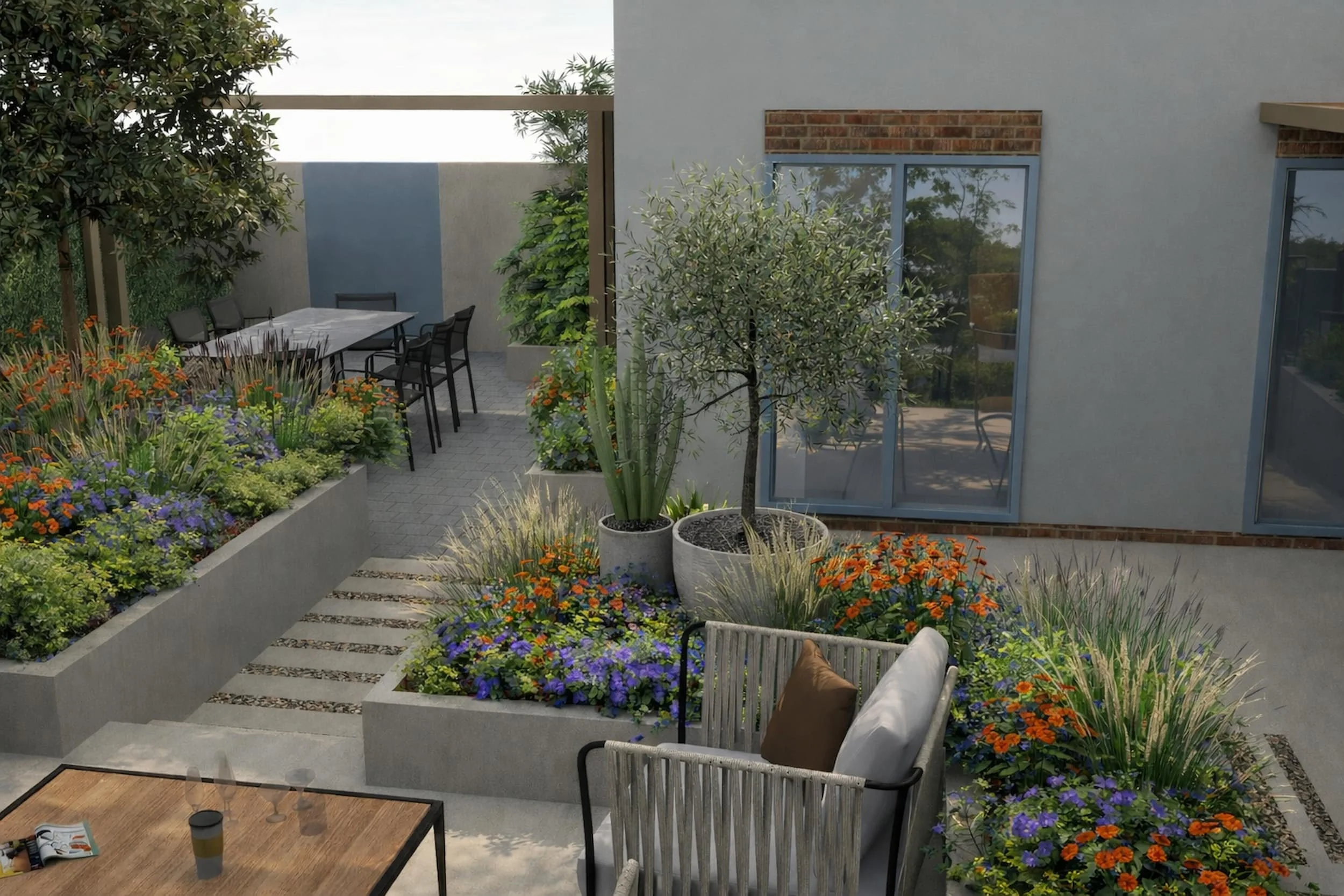 Contemporary garden with raised concrete planters, layered planting and a central olive tree, linking a dining area to a relaxed seating space.