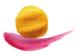 Doula Netzwerk Schweiz