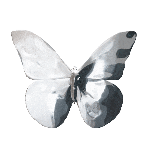 A metallic butterfly-shaped object with a mirrored surface and a gray background.