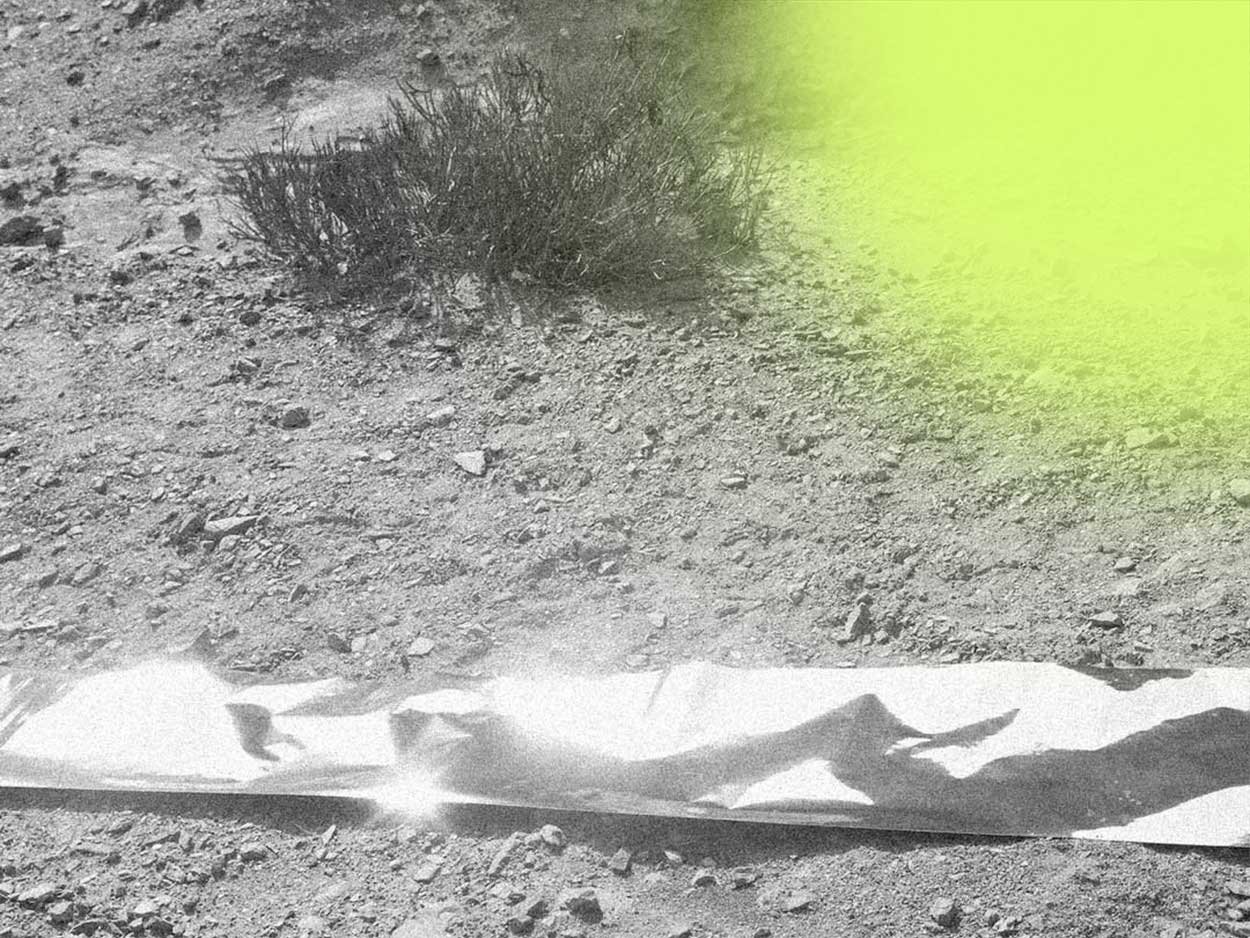 Black and white photograph of a small bush or shrub on a rocky dirt ground, with a bright yellow-green glare on the top right corner and a white elongated shadow on the bottom.