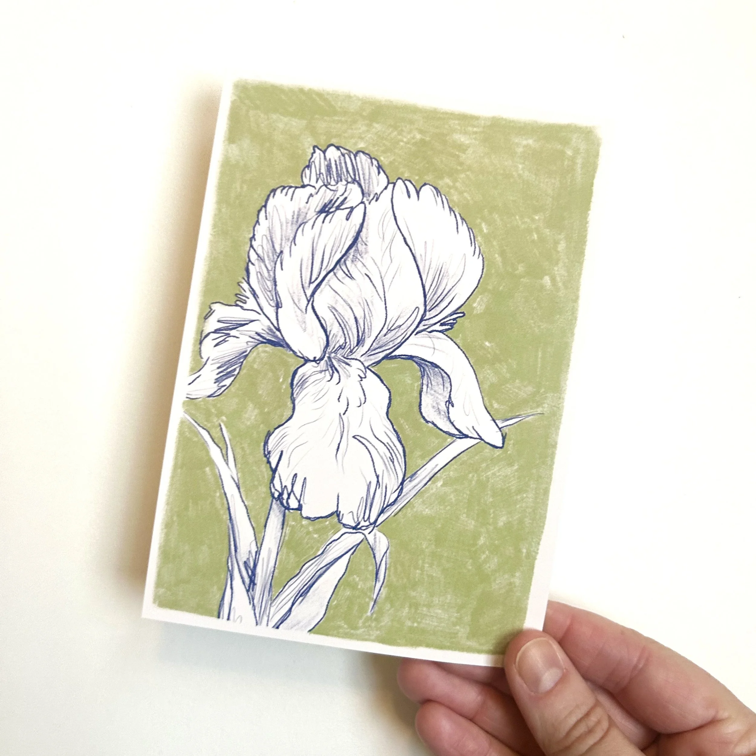 Iris A6 Print