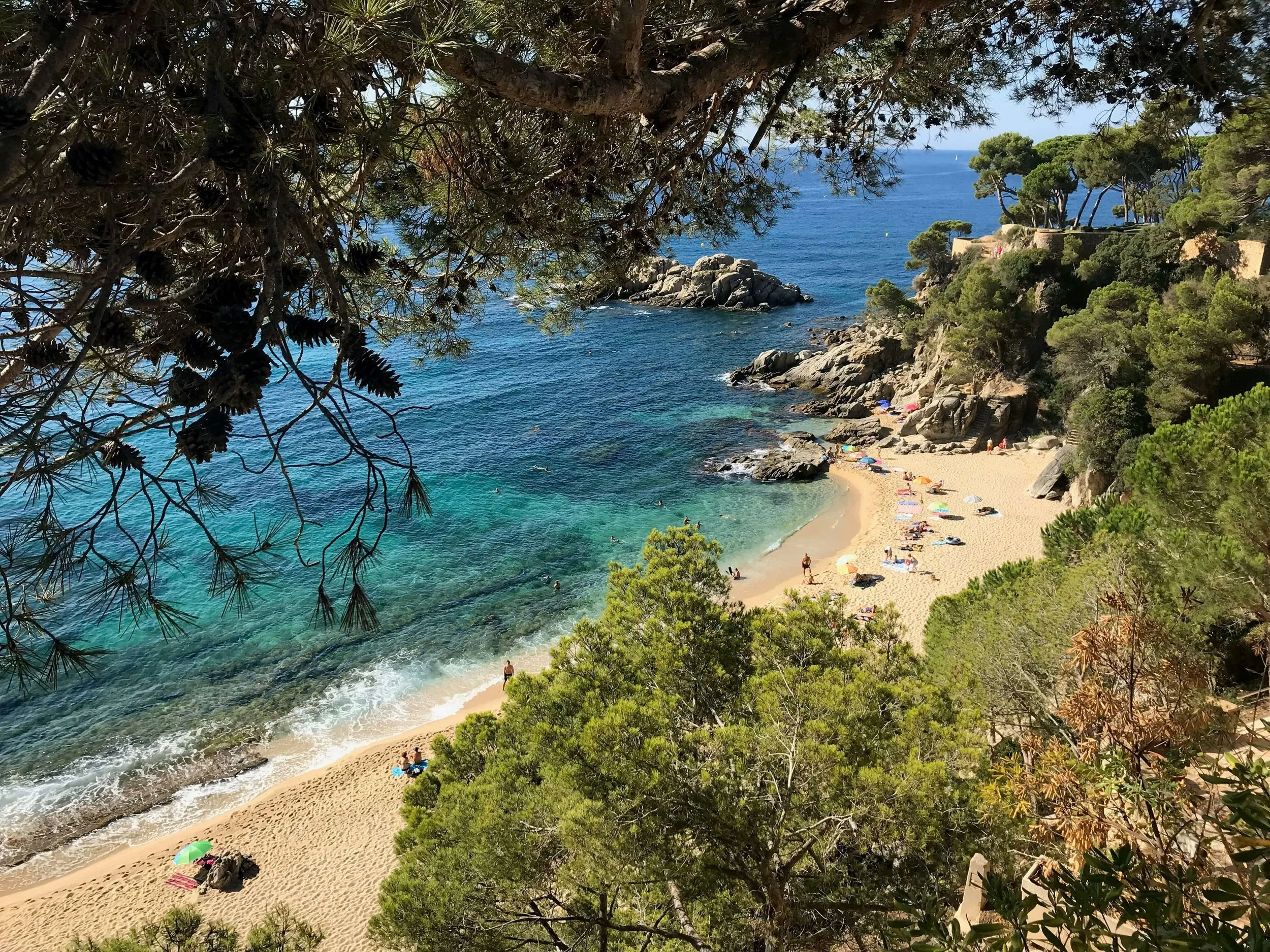 Vista de una playa con arena dorada, agua azul y rocas, rodeada de árboles verdes y arbustos, con algunas personas en la playa y en el agua, y sombrillas coloridas.