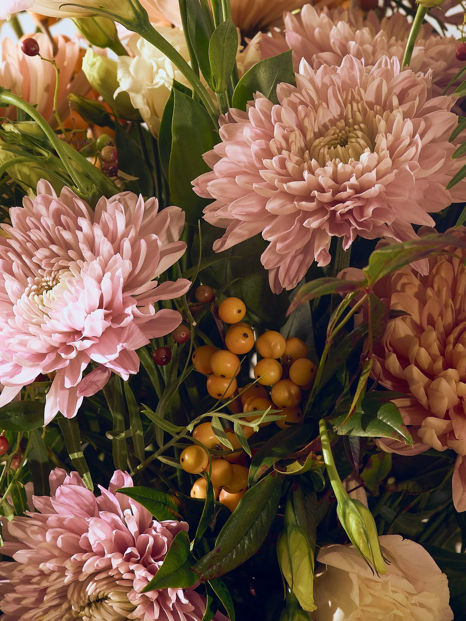 2025-bpd-flower-shoot0270-web 1.jpg