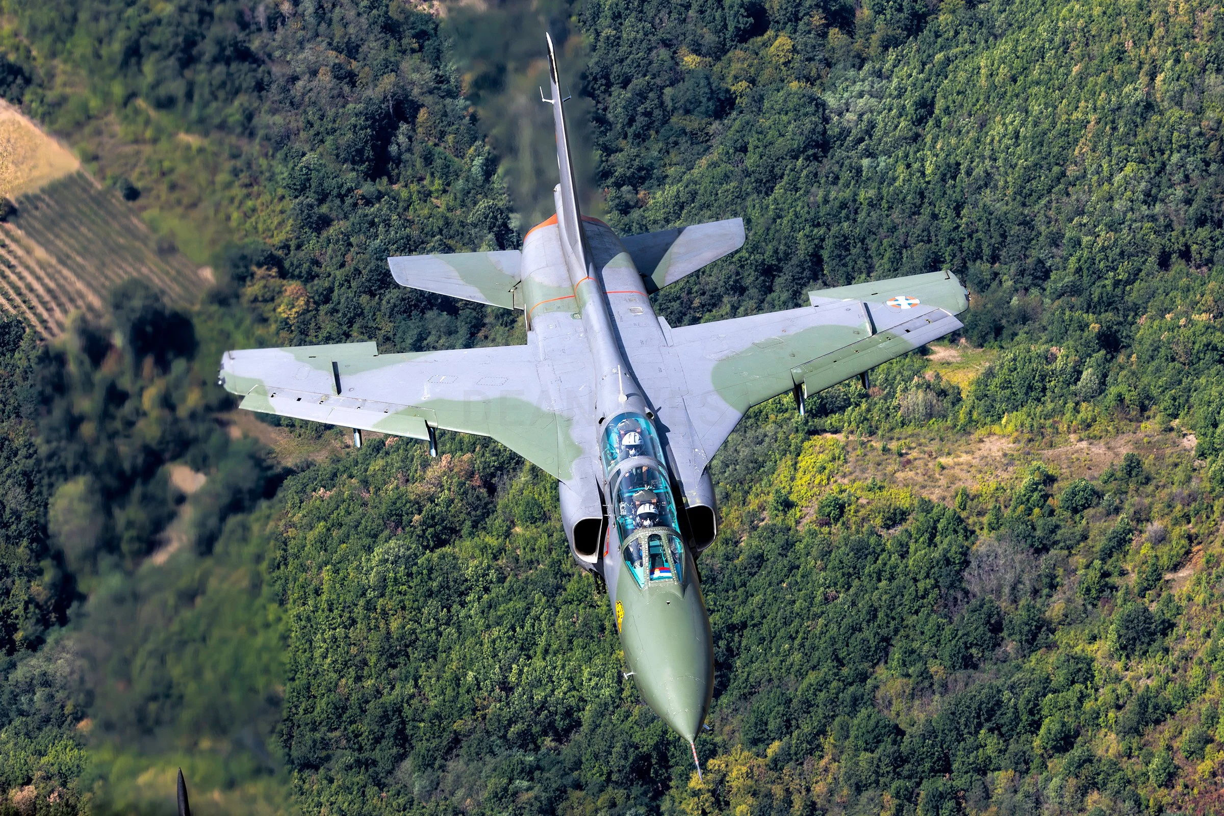 Soaring Eagles Over Serbia