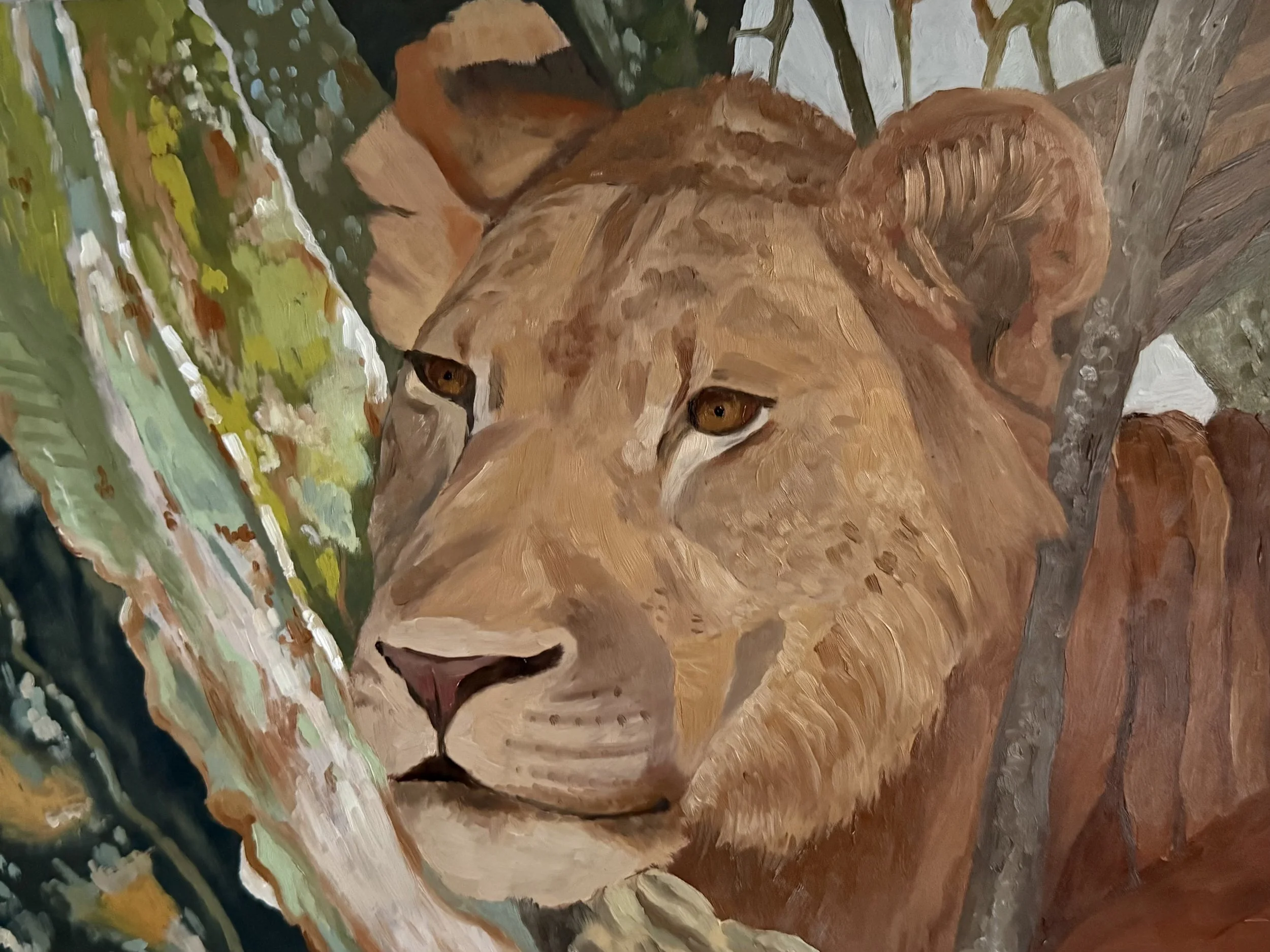 "Lioness"
Oil on Wood Panel
9" x 12"
2026