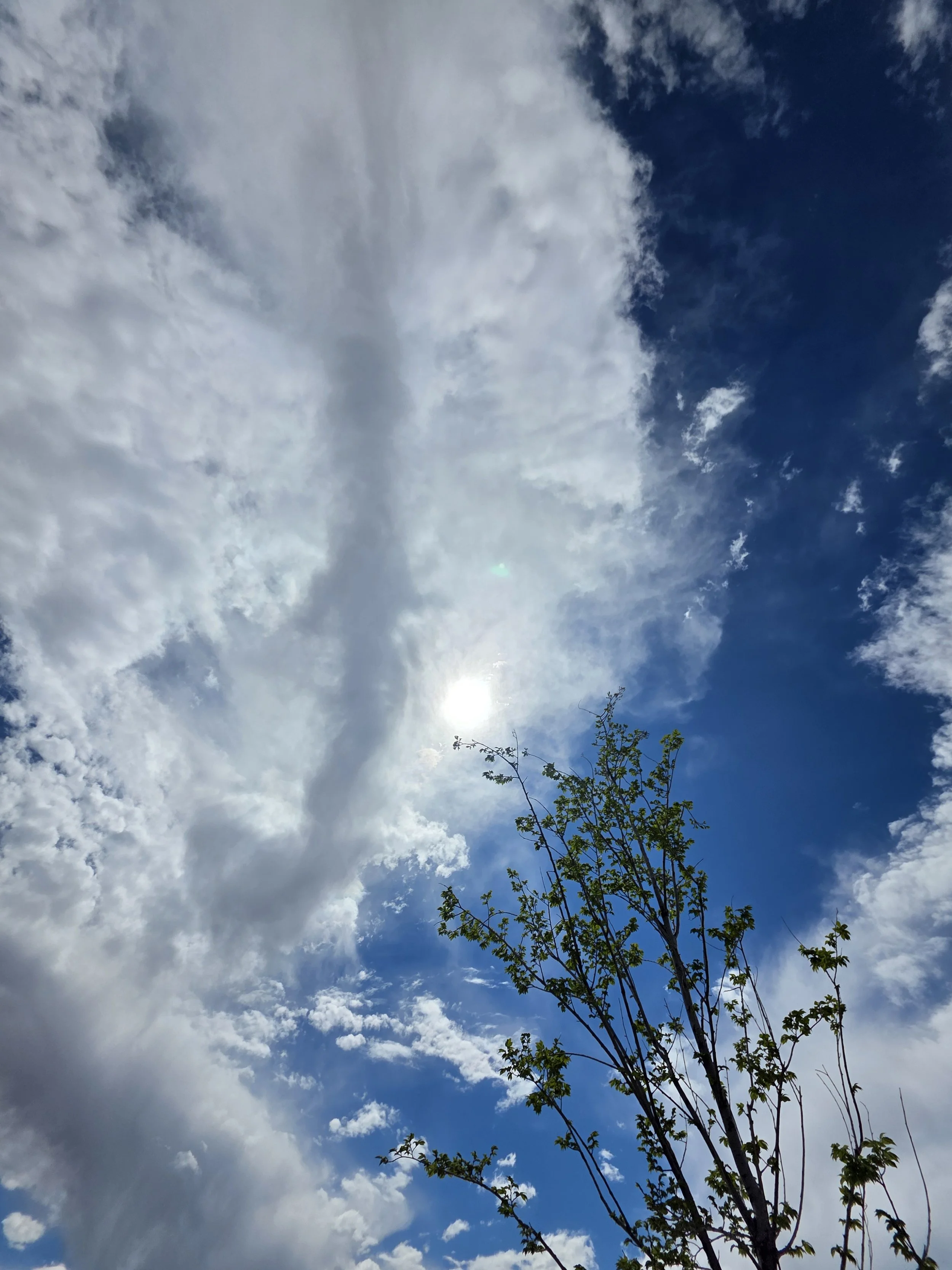 A picture of the Sun with clouds in the sky, as well as a tree in the foreground.