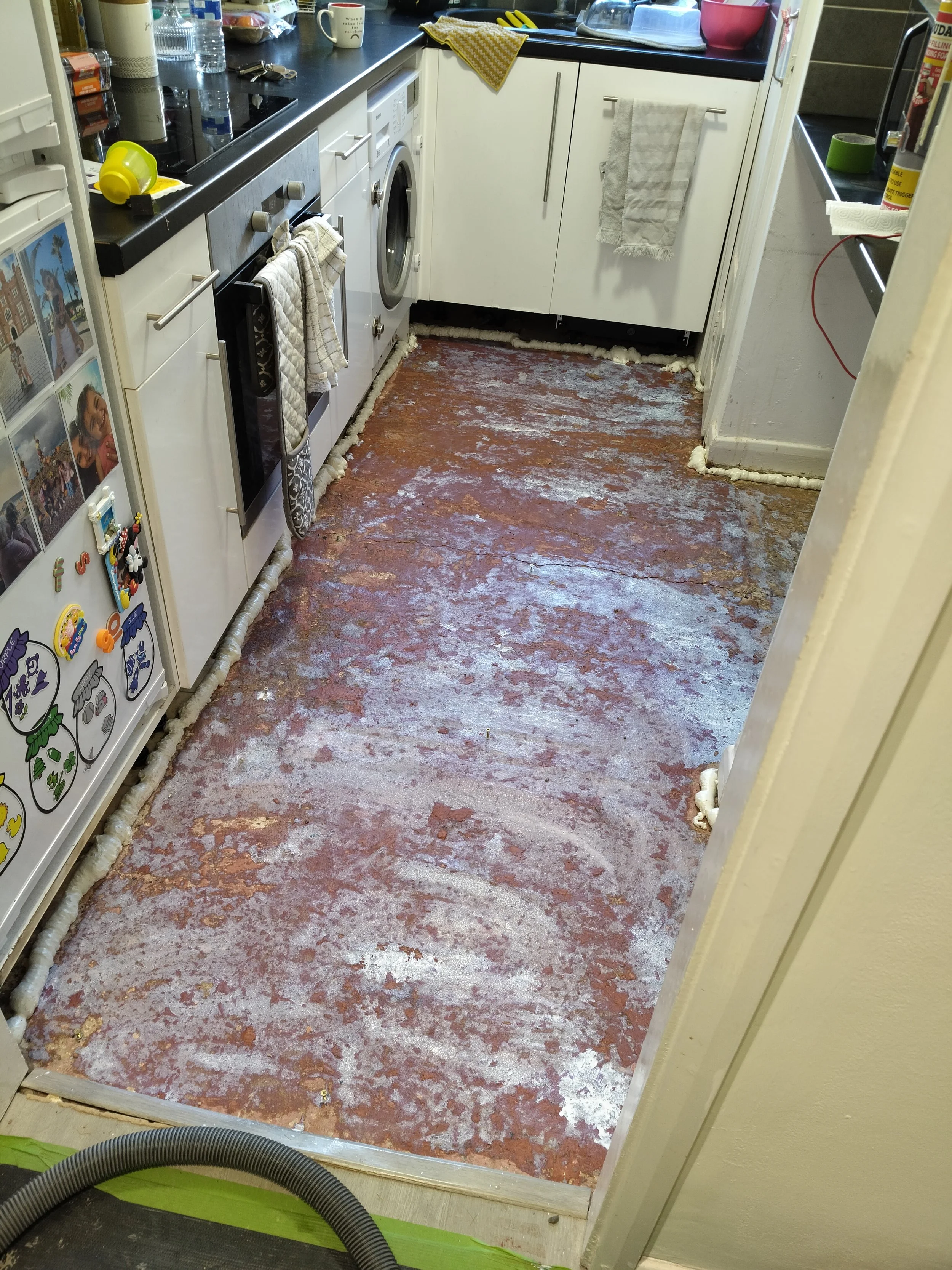 IMG20251120100217.jpg