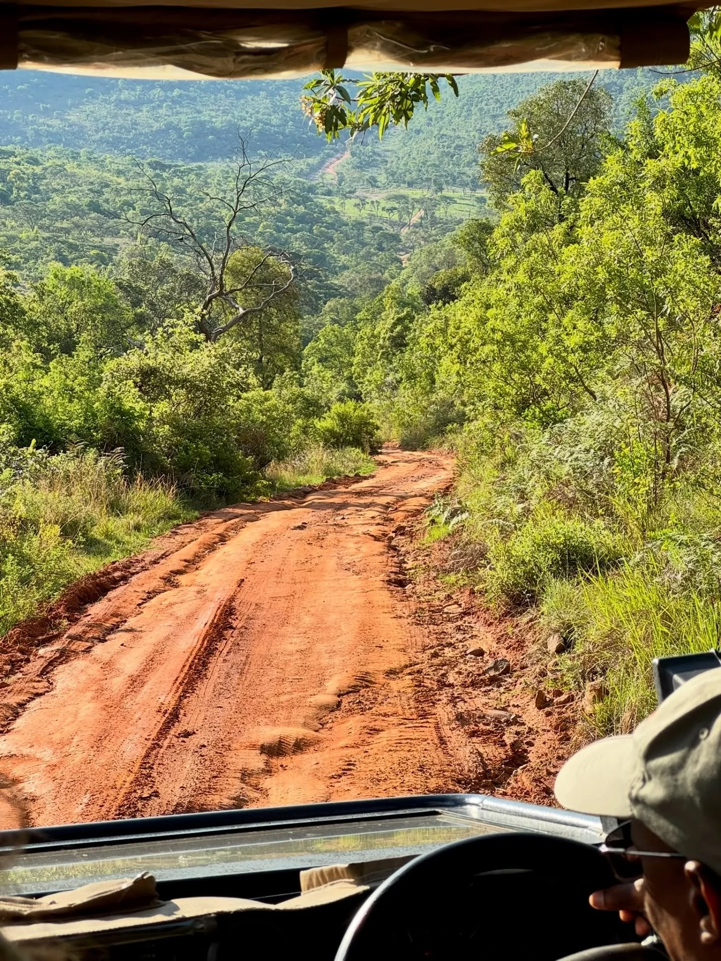 Early mornings are for bush drives. Cooler temperatures, open landscapes and a pace that allows you to stay with a sighting rather than move on too quickly.

#MoralaLodge #PrivateSafari #WelgevondenReserve #LuxurySafariSouthAfrica #ExclusiveUseSafari