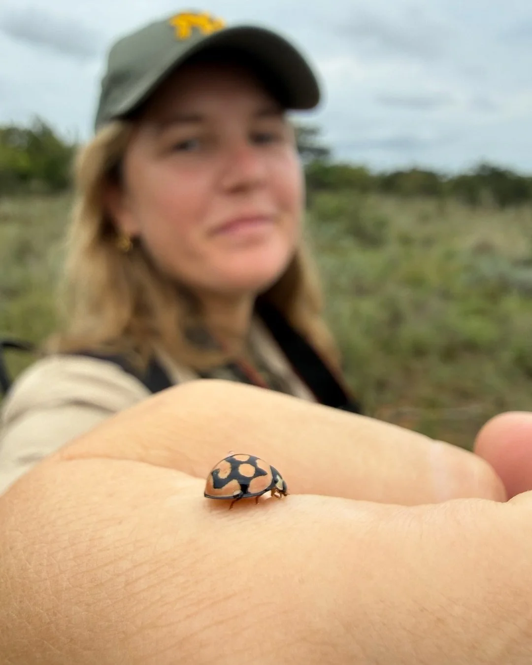 From the smallest wildflower to the largest roaming giants, biodiversity is what keeps the bushveld alive, thriving and endlessly remarkable.

Welgevonden Private Game Reserve spans 37,000 hectares of diverse landscapes, rich geology and extraordinar