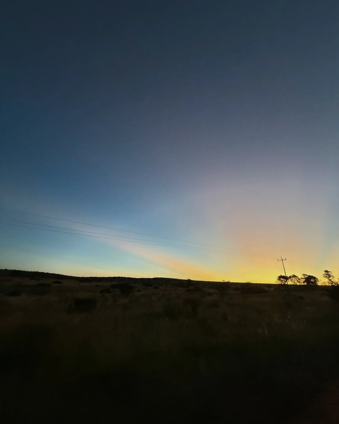 Tiny wings, extraordinary journeys, migratory birds passing through the Welgevonden skies remind us just how vast and connected the wild truly is. 

#MoralaLodge #PrivateSafari #WelgevondenReserve #LuxurySafariSouthAfrica #ExclusiveUseSafari