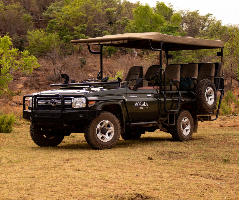 A black off-road safari vehicle with a beige canopy, parked on a grassy area with trees and hills in the background.