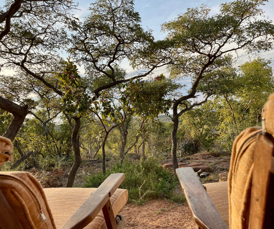 View of a natural outdoor setting with trees, rocks, and greenery, as seen from a seated position with chairs in the foreground.